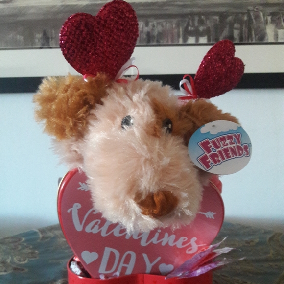 Valentine's Day puppy and candy gift - Picture 6 of 8